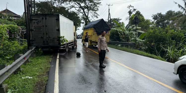 Cegah Kemacetan, Polsek Selemadeg Barat Tanggap Atasi Truk Mogok di Jalur Denpasar–Gilimanuk