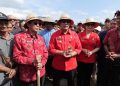 Bupati Tabanan Tanam Jagung di 88 Hektar untuk Mendorong Ketahanan Pangan