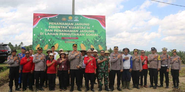 Polres Tabanan Tanam Jagung Serentak Dukung Ketahanan Pangan Nasional
