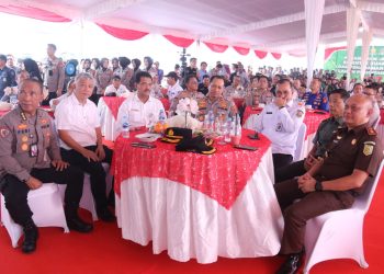 Wakapolda Sumsel tanam jagung mendukung swasembada pangan nasional kuartal III