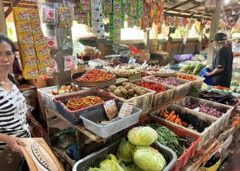 Stok Pangan Aman dan Harga Terkendali di Kabupaten Tabanan pada Juli 2025