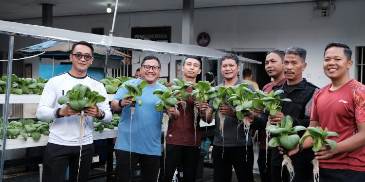 Panen Perdana Pakcoy Hidroponik di Lapas Tabanan untuk Ketahanan Pangan
