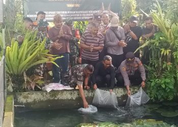 Dukung Ketahanan Pangan, Kasdim Tabanan dan Forkopimcam Kerambitan Sebar 500 Ekor Ikan Nila
