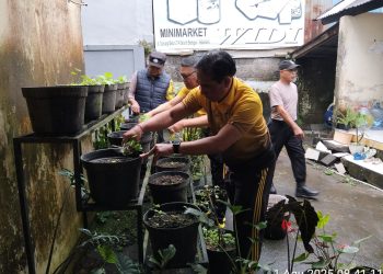 Dukung Ketahanan Pangan Nasional, Penanaman Bibit Cabai oleh Polsek Baturiti di Halaman Mako