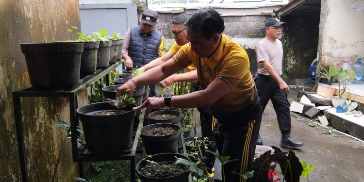 Dukung Ketahanan Pangan Nasional, Penanaman Bibit Cabai oleh Polsek Baturiti di Halaman Mako