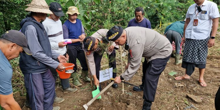 Aksi Penghijauan Gunung Batukau: Kolaborasi Lestarikan Alam Pemerintah dan Warga